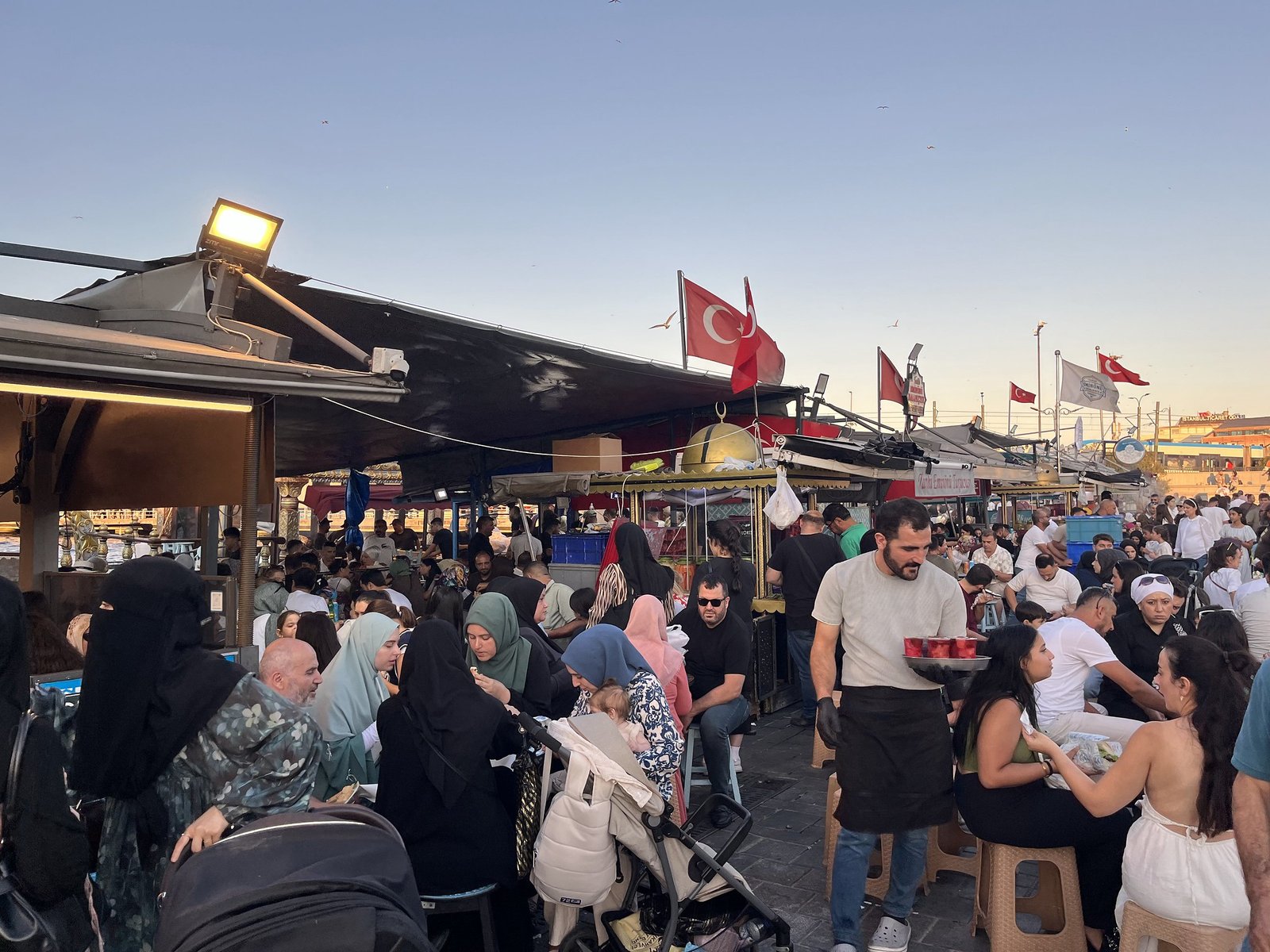 54768718887_fb4309bb3c_k 54768718887_fb4309bb3c_k