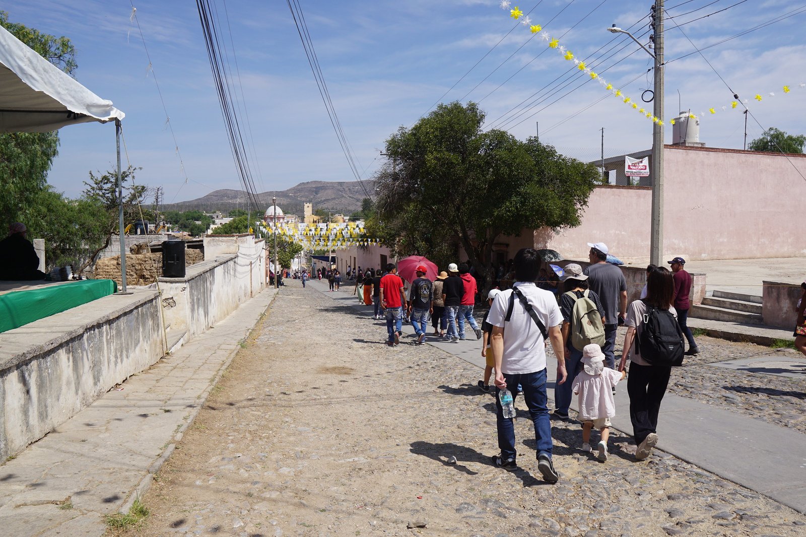 54586457987_13abd448cb_k