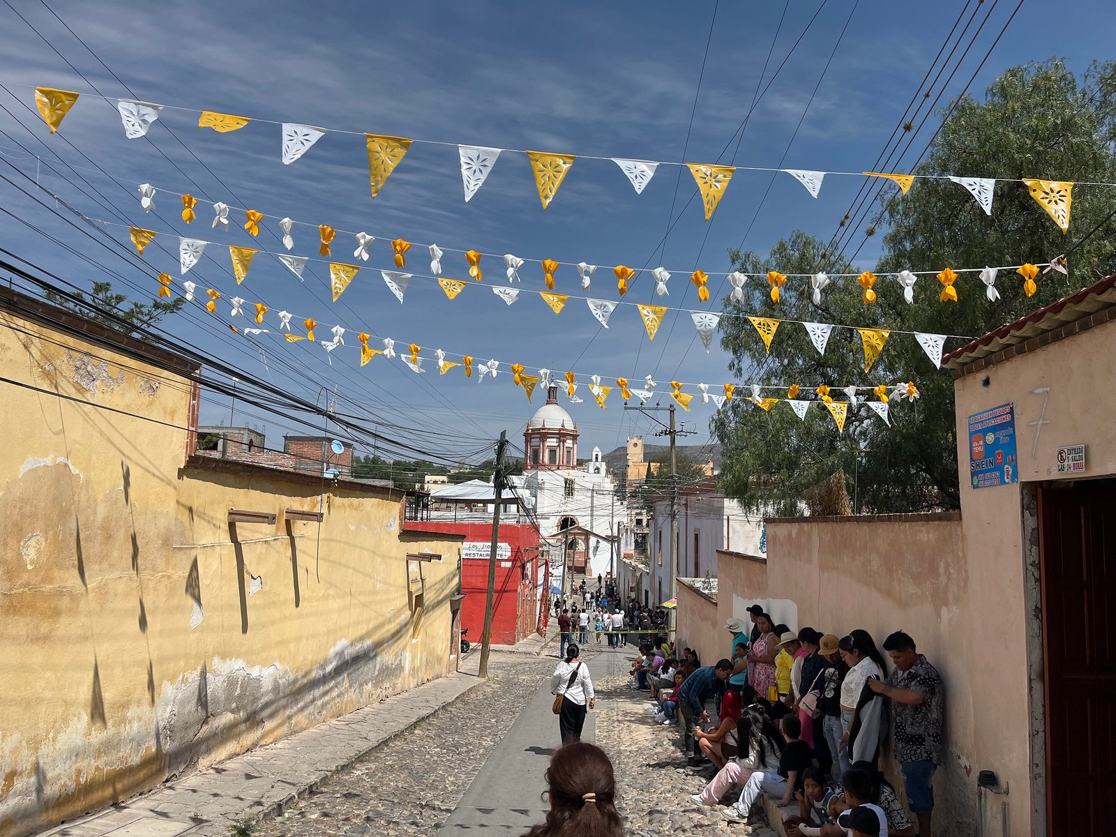 54586458137_a619fc0253_k