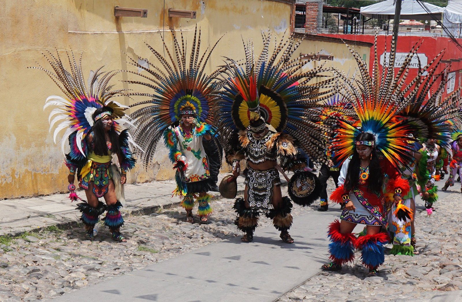 54586629607_22aafe8c6e_k