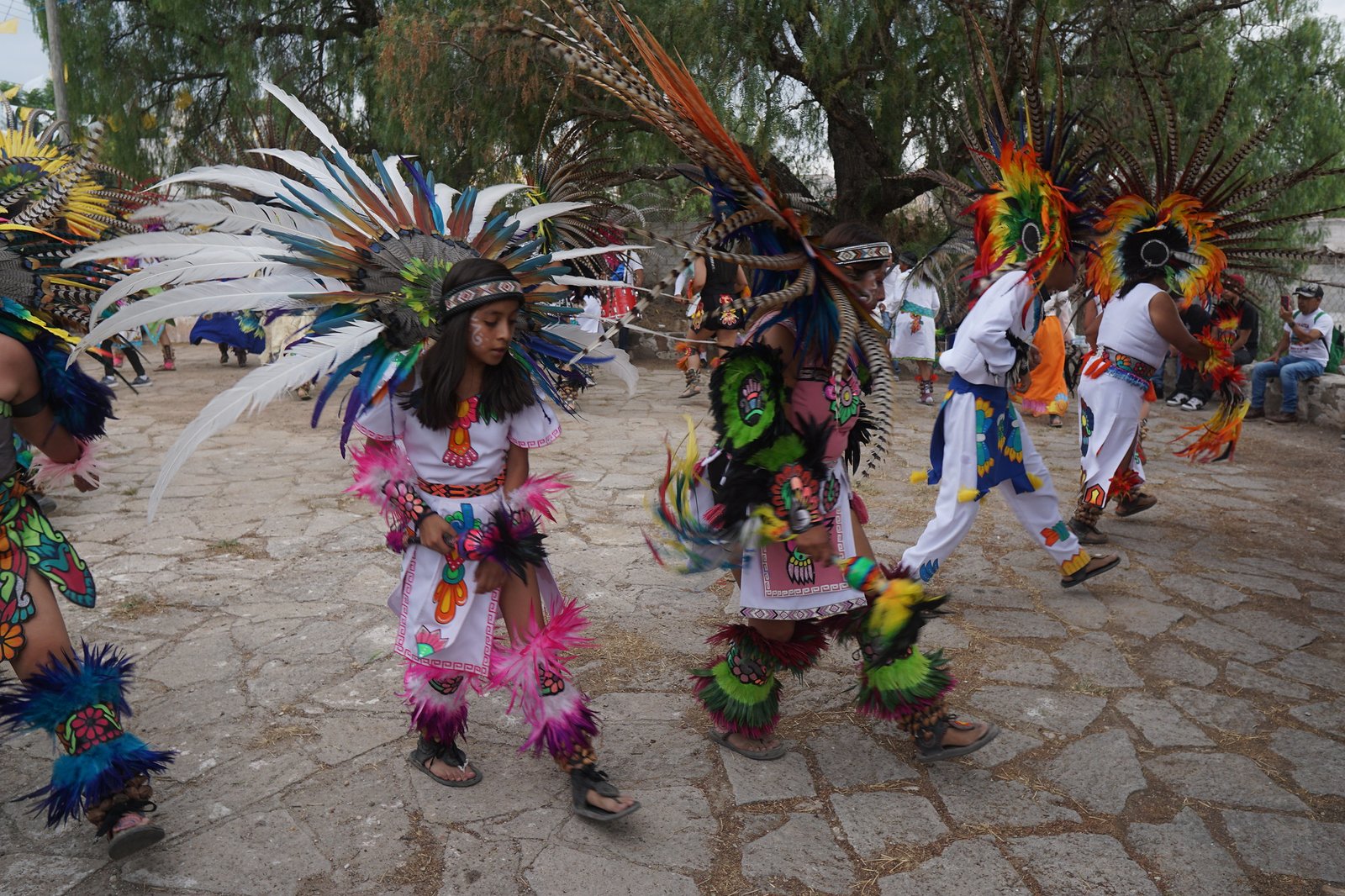 54587666835_7dd441c4e5_k