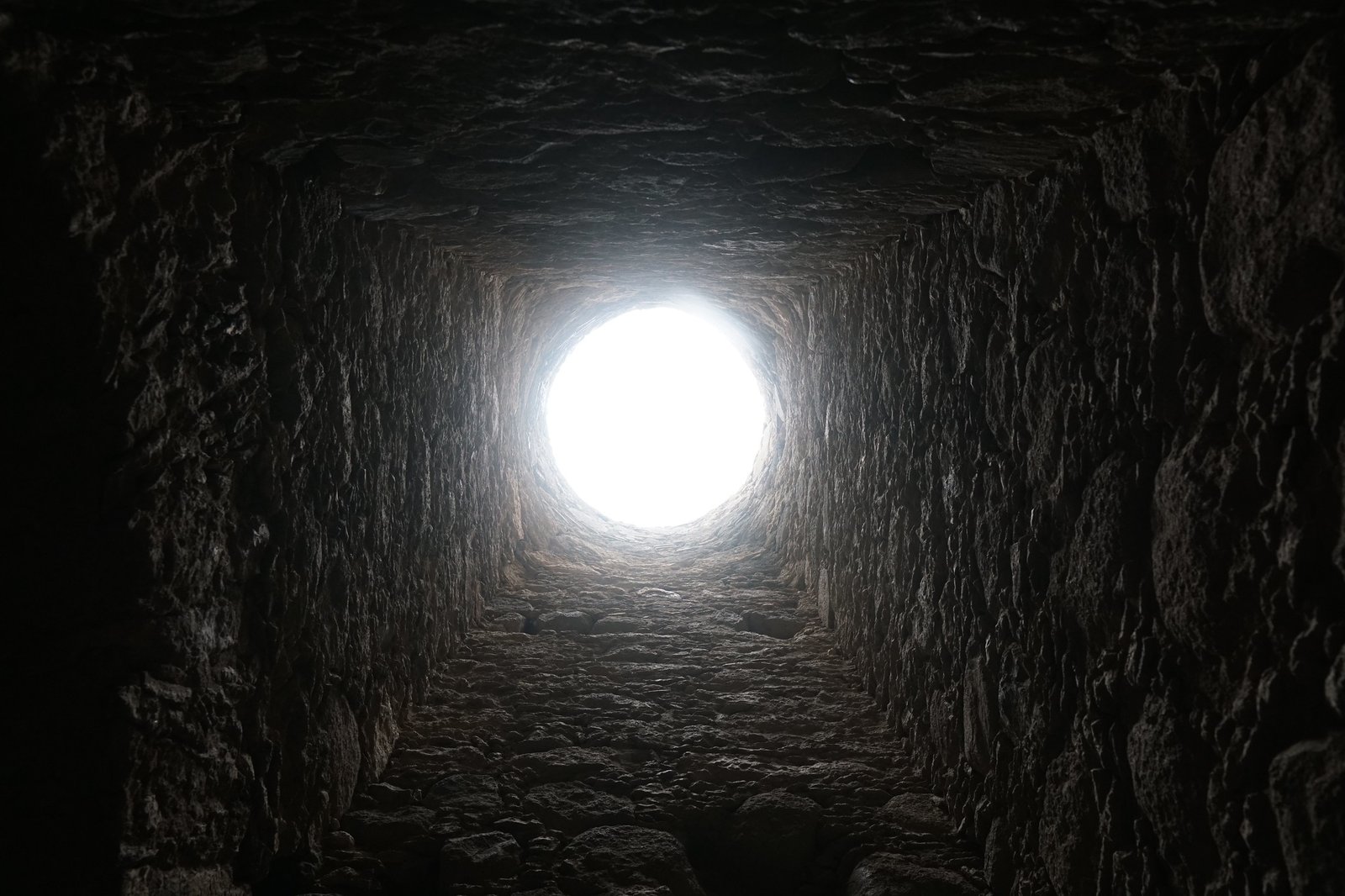 54587366706_157b213351_k