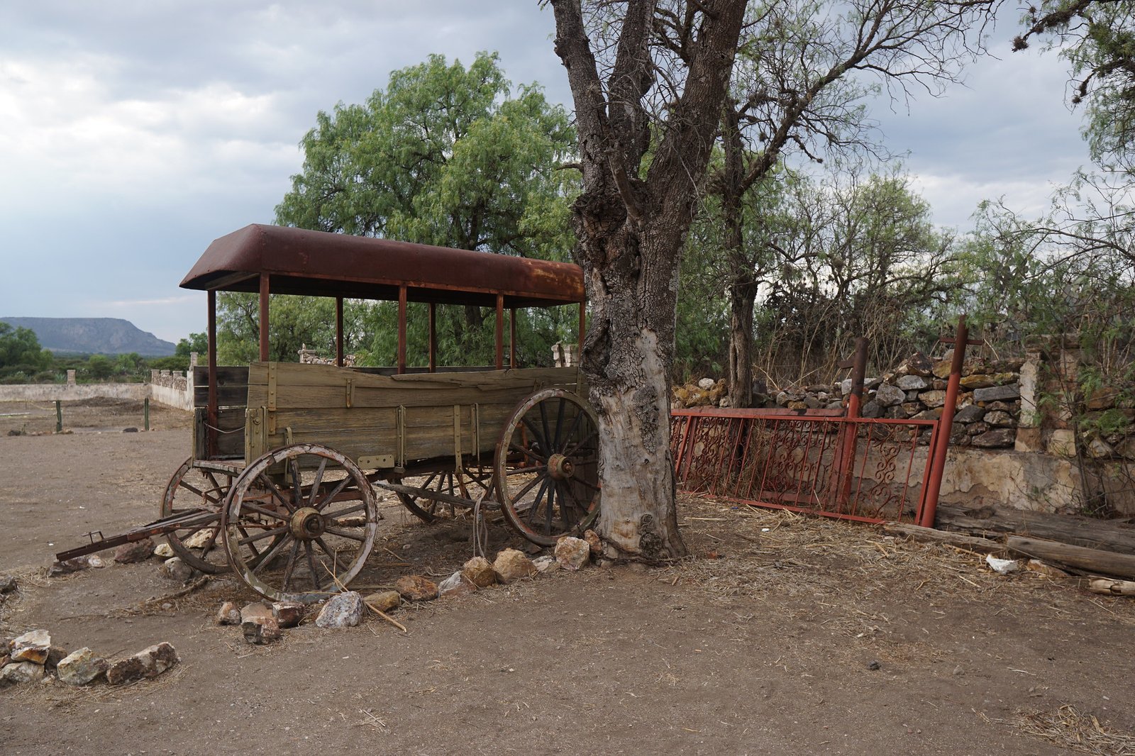 54587374326_4ddad46f33_k