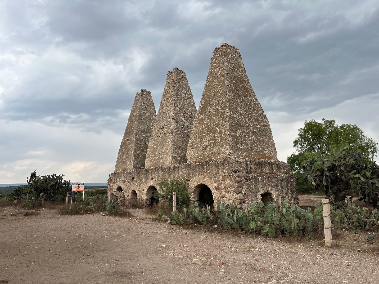 54587551629_bfba30820d_k