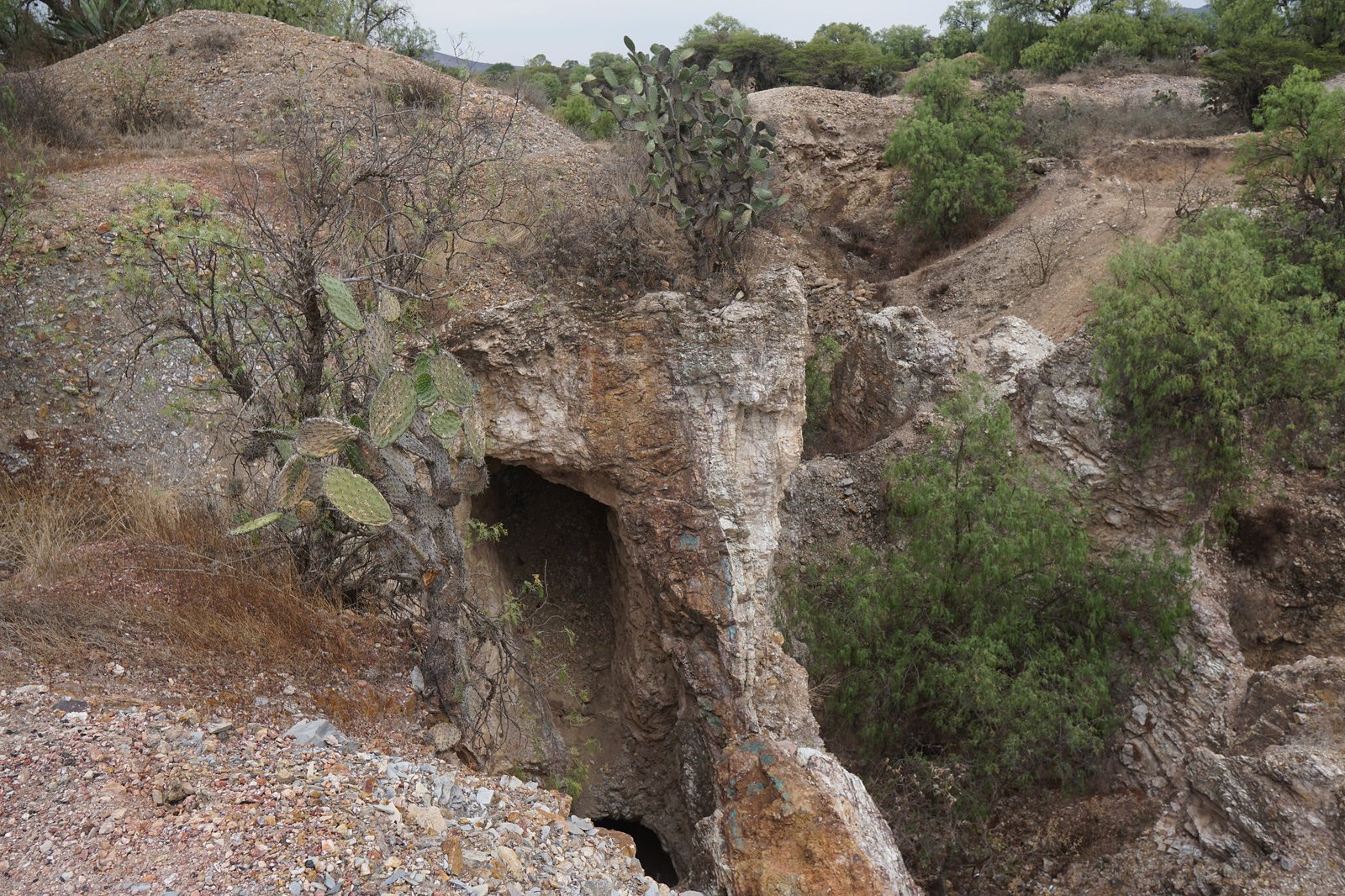 54587558034_f542781b16_k