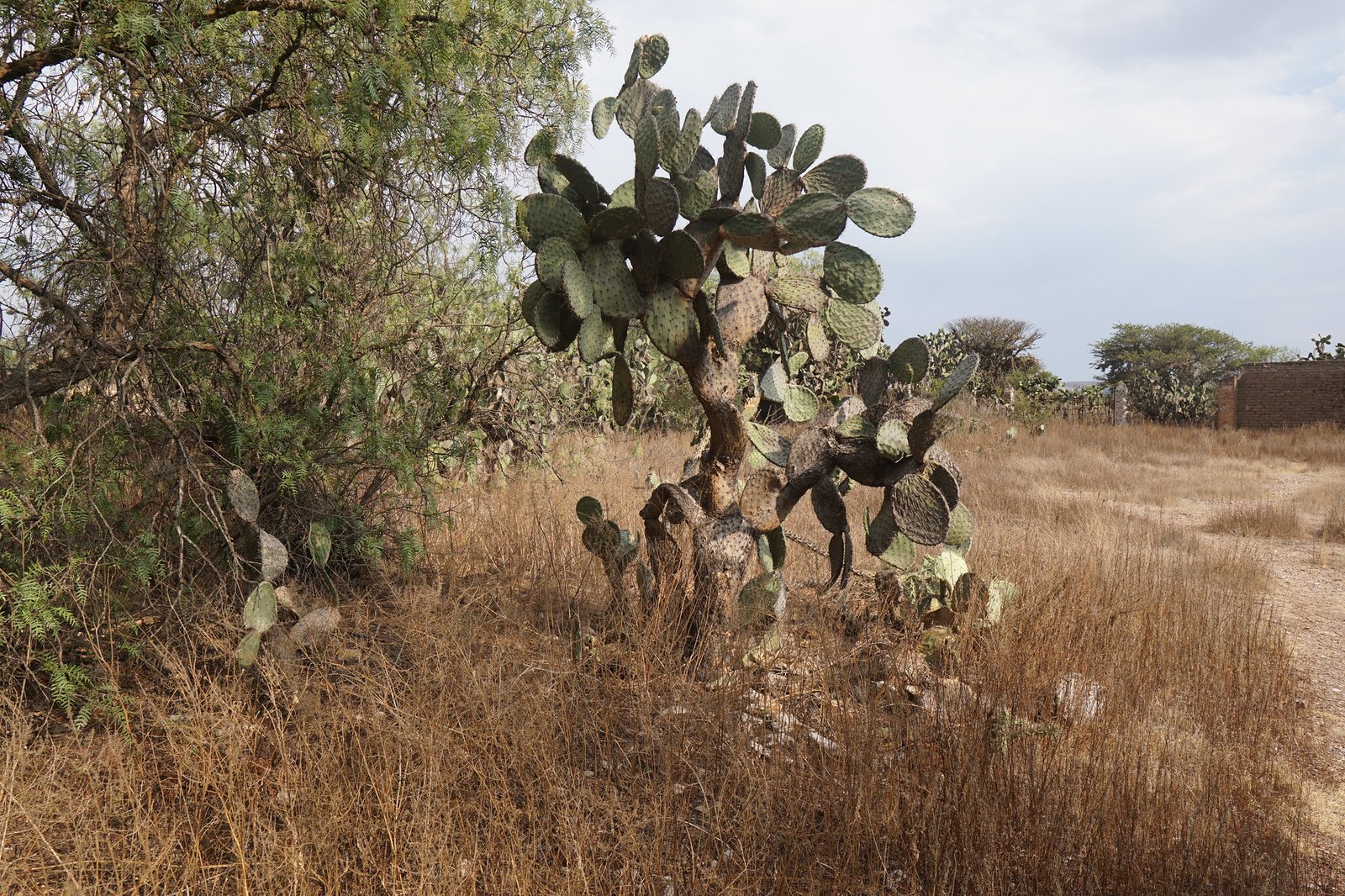 54587591068_afb0d8f802_k