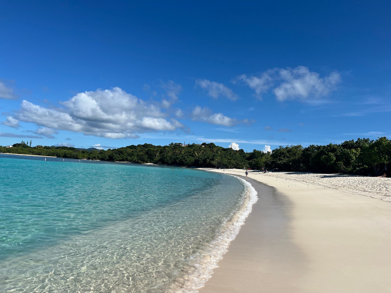 54947127091_b7cbe2b75f_k