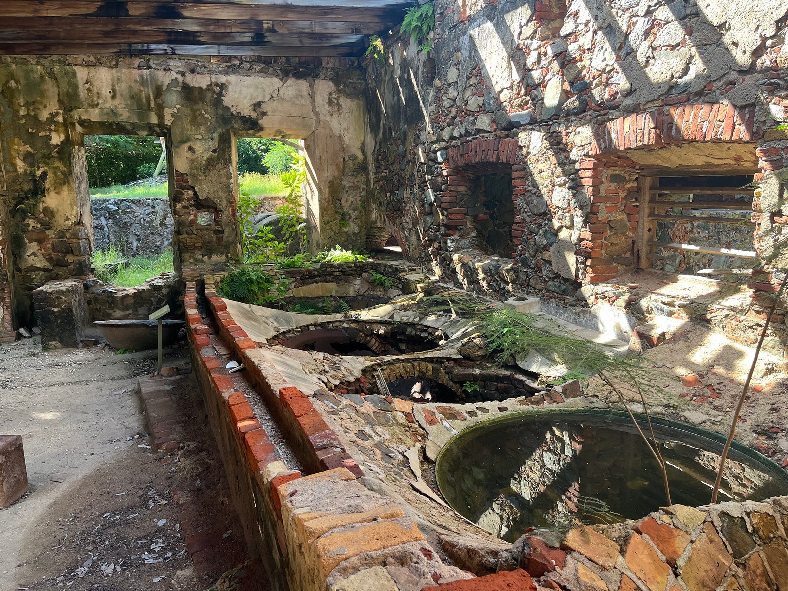 54947136126_0462a26362_k