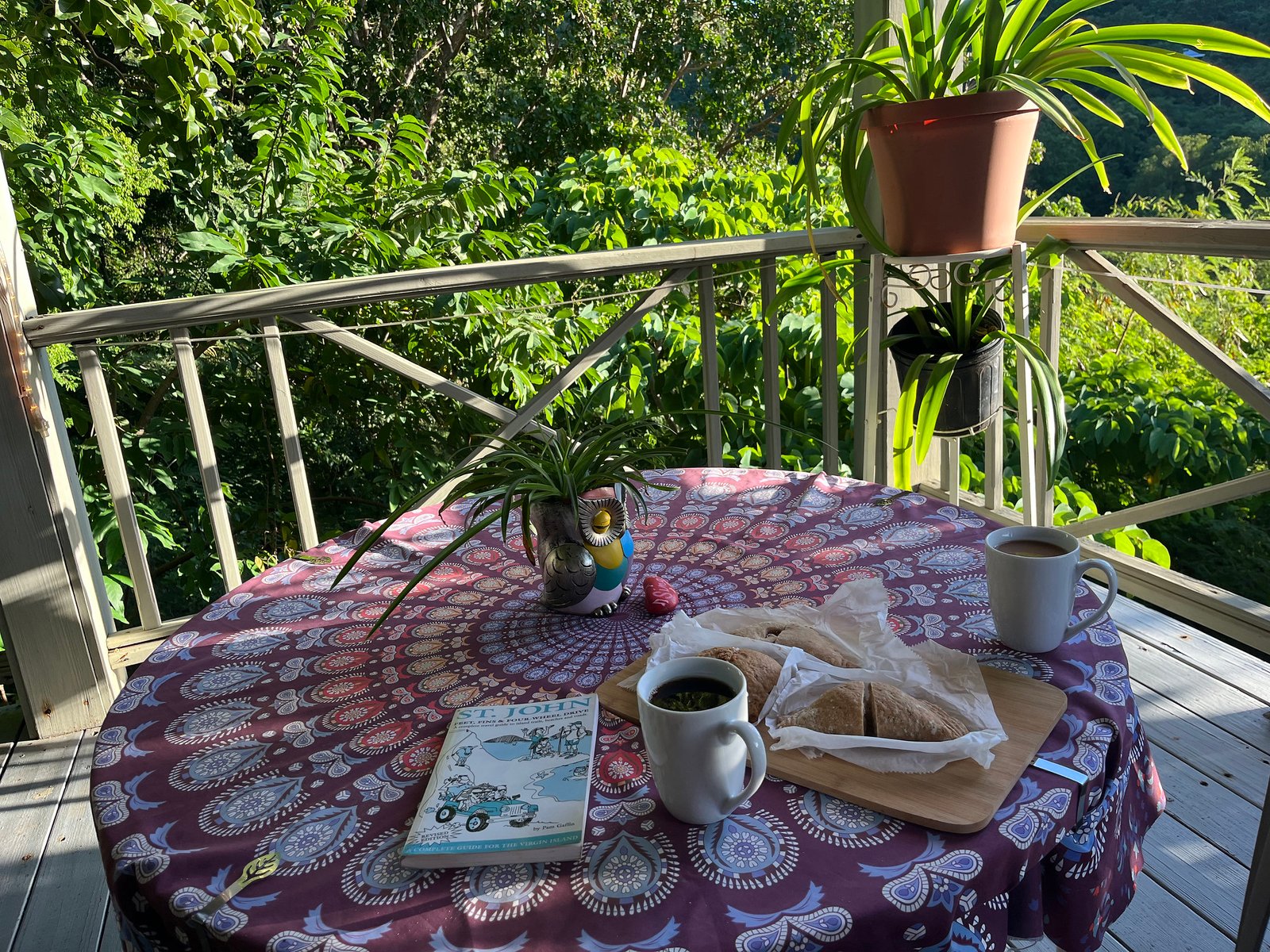 54947396154_c62cf3316d_k