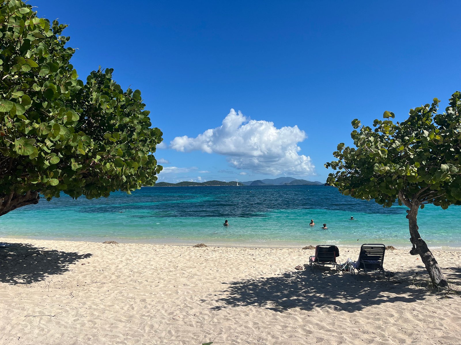 54947411929_429c24dbcd_k