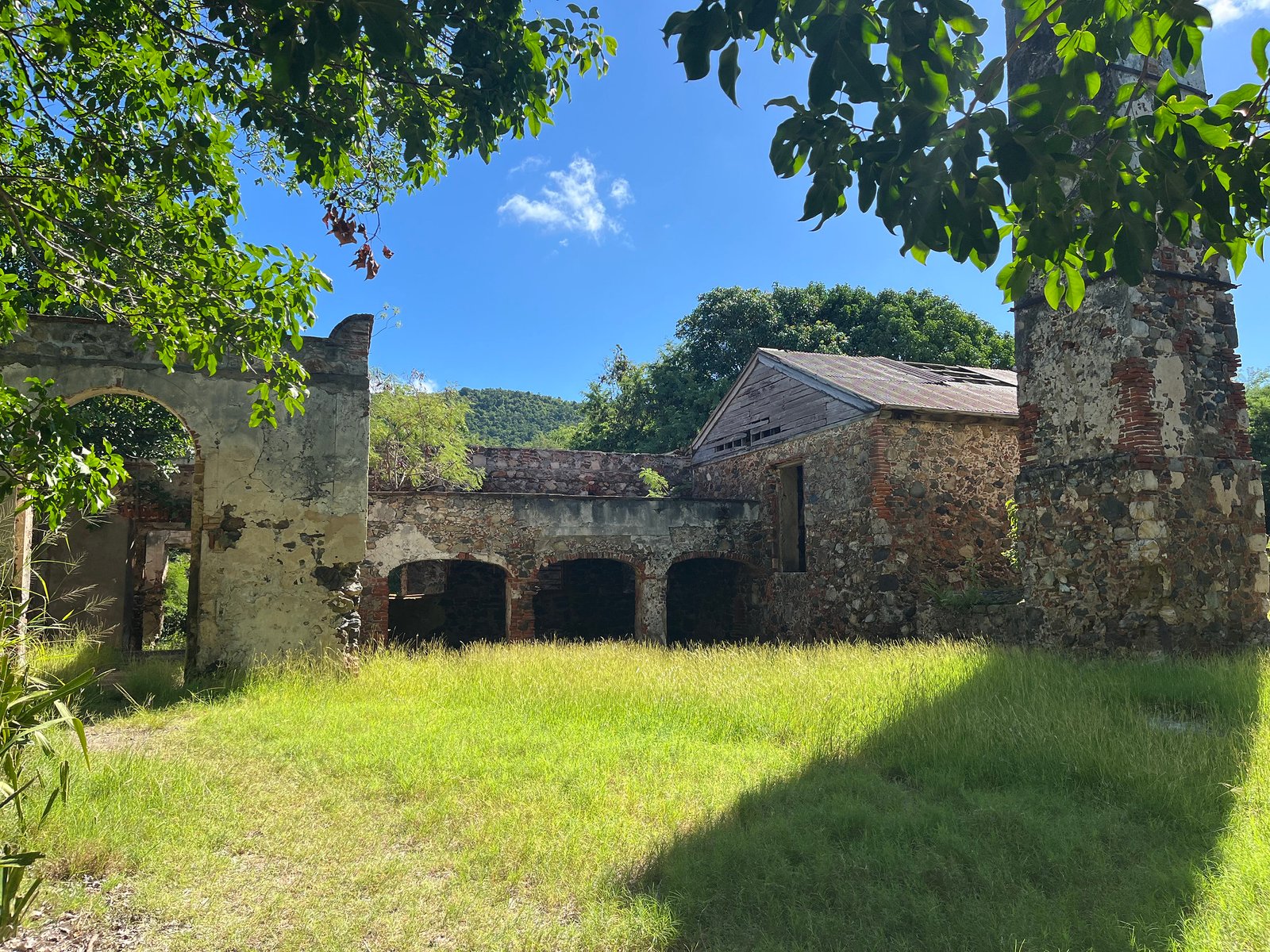 54947444495_d0431b5272_k