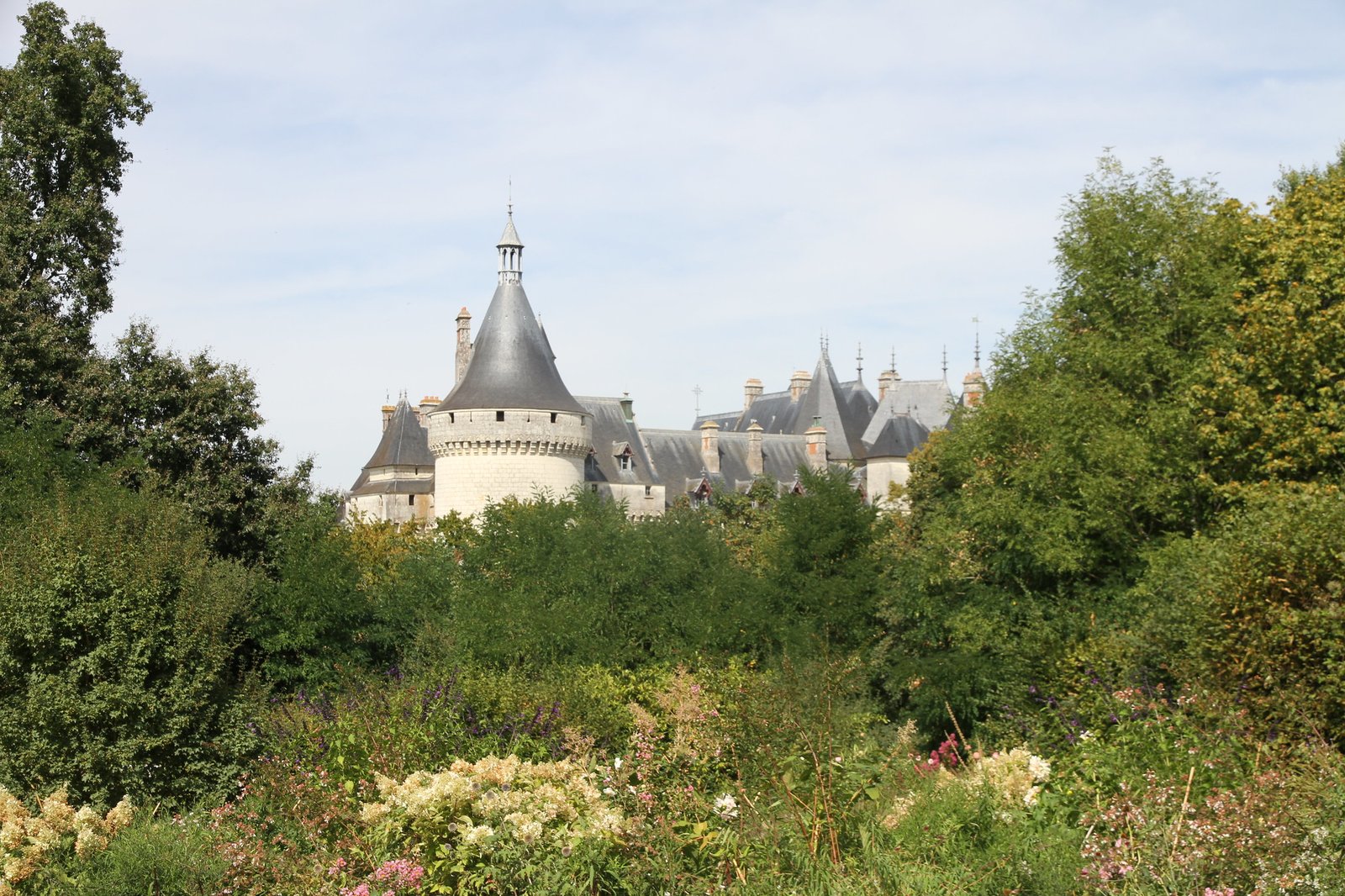 29876156742_9935fcc3bb_k (2)