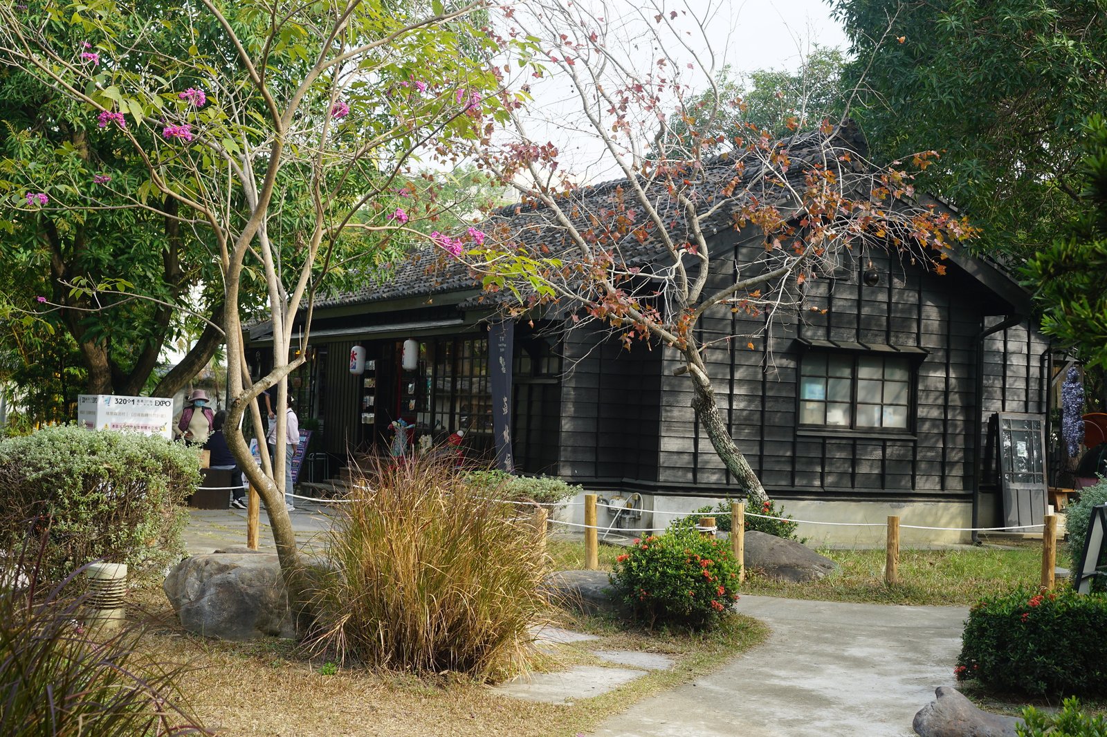 55043936326_c5780c58b4_k