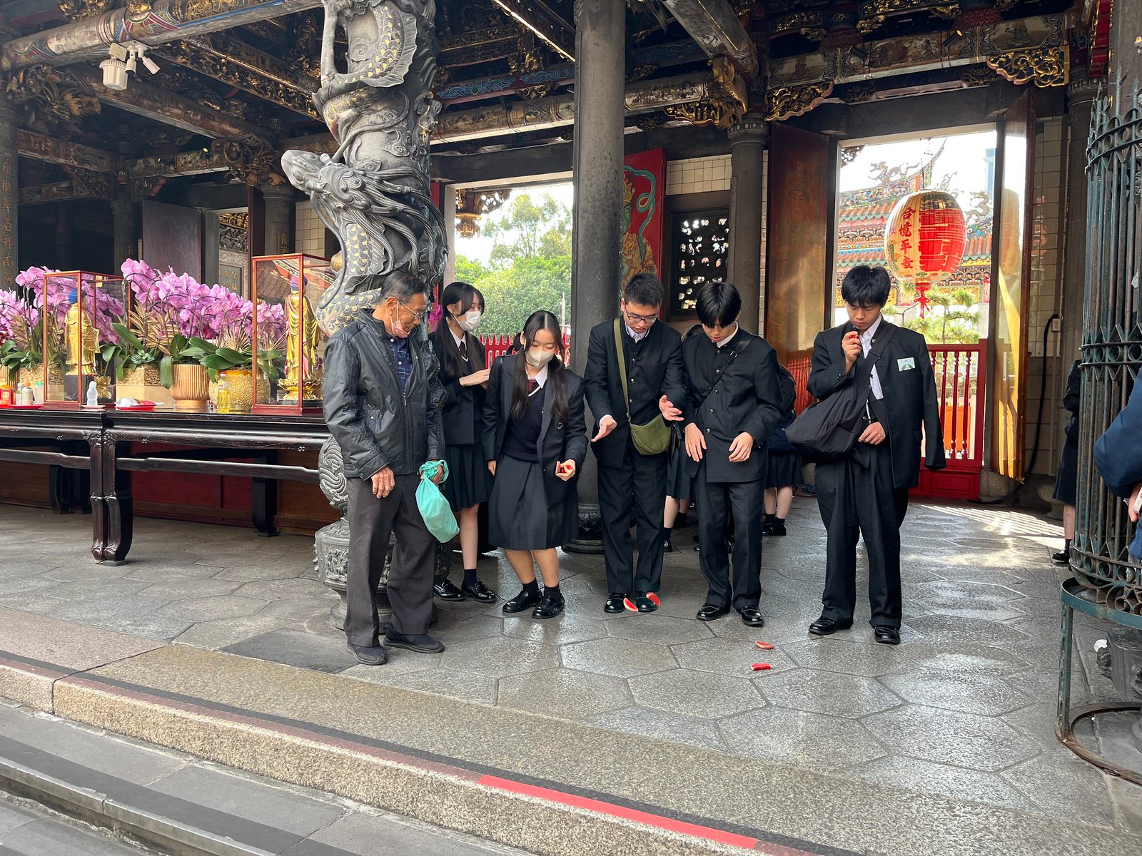 55043680132_ee59b8458a_k