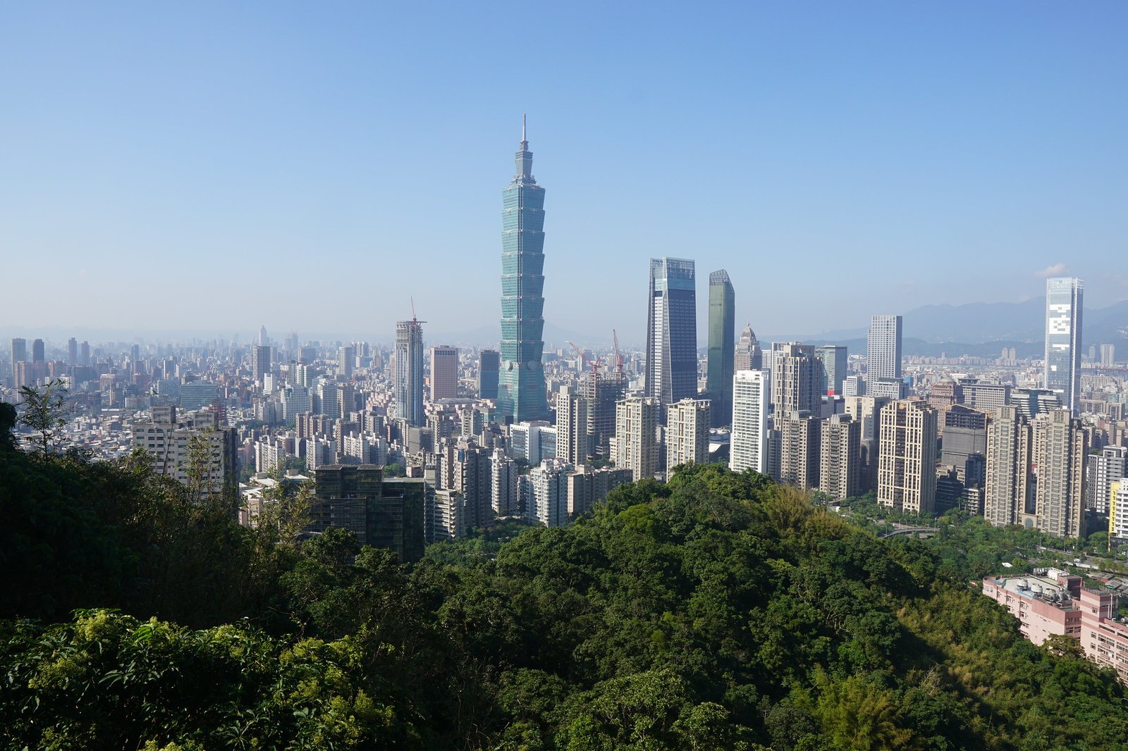 55043800566_a1b4fdf47a_k