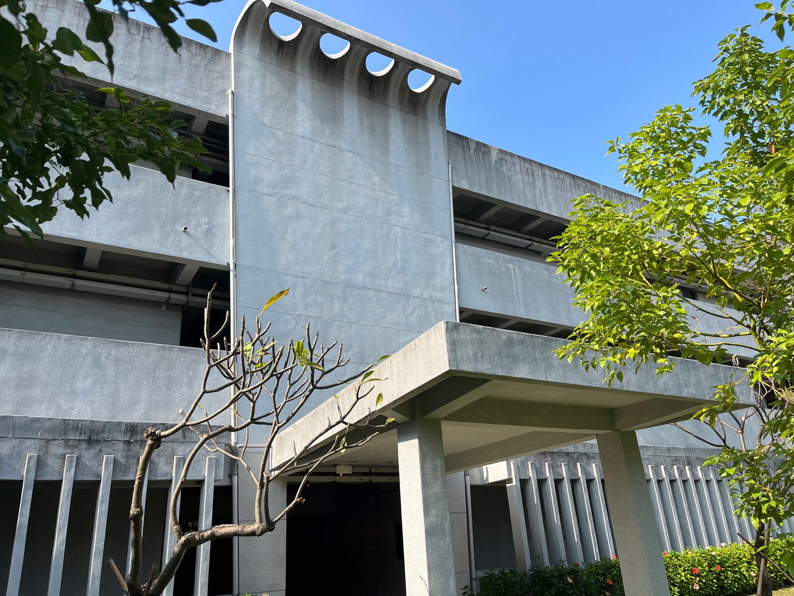 55044706786_633db08c41_o