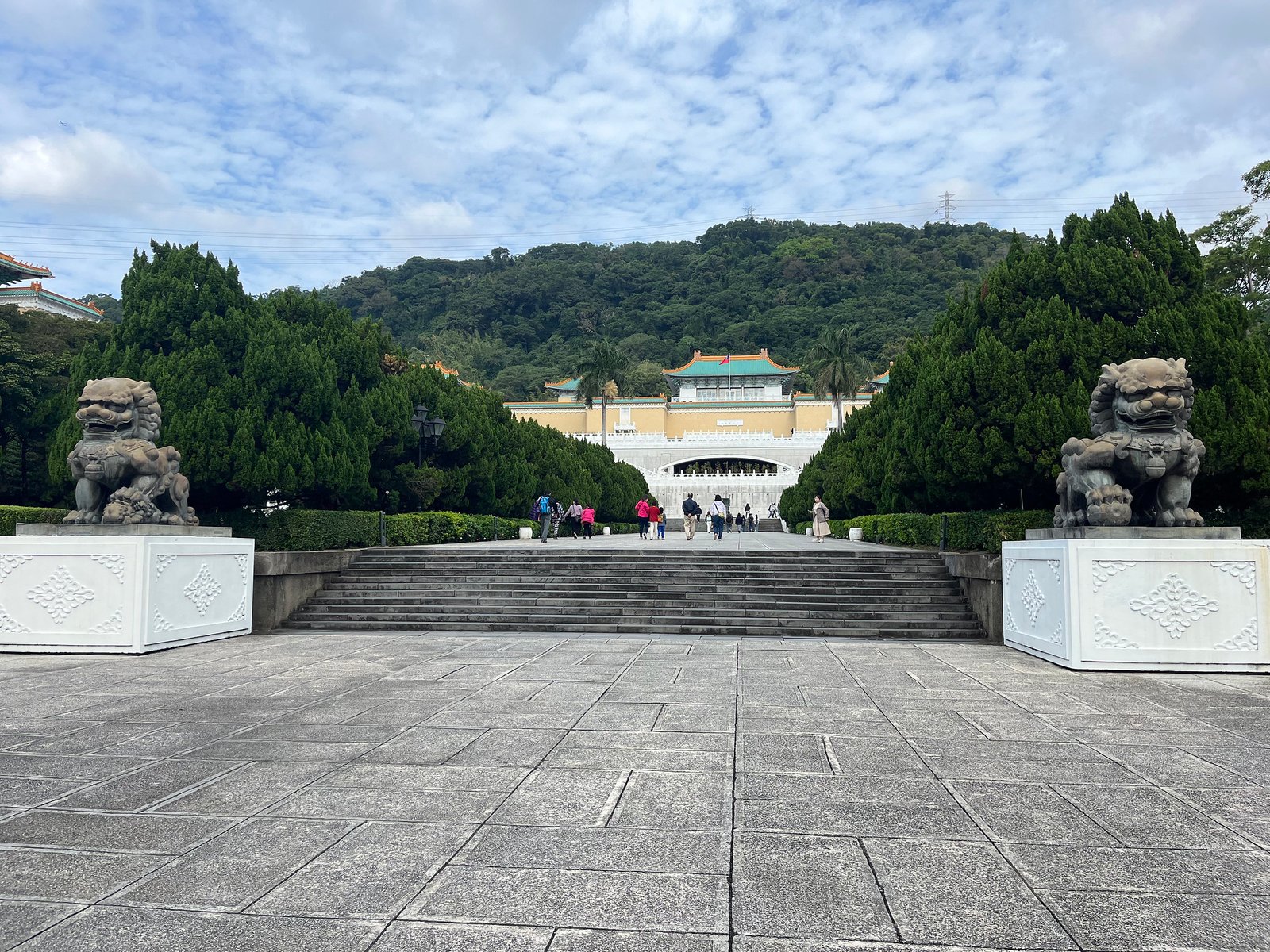 55044893865_36e9928333_k