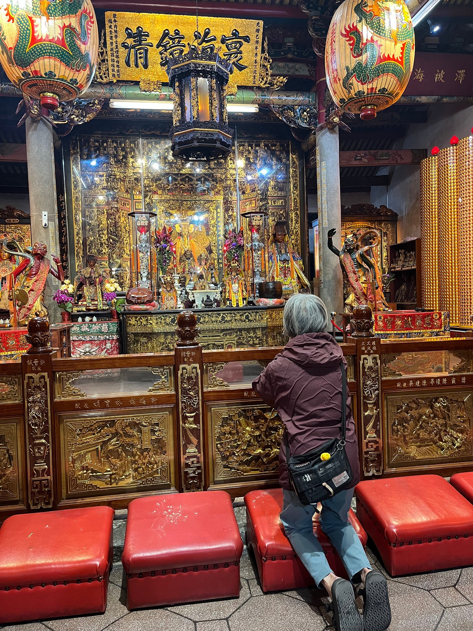 55044906655_817d4d878a_k