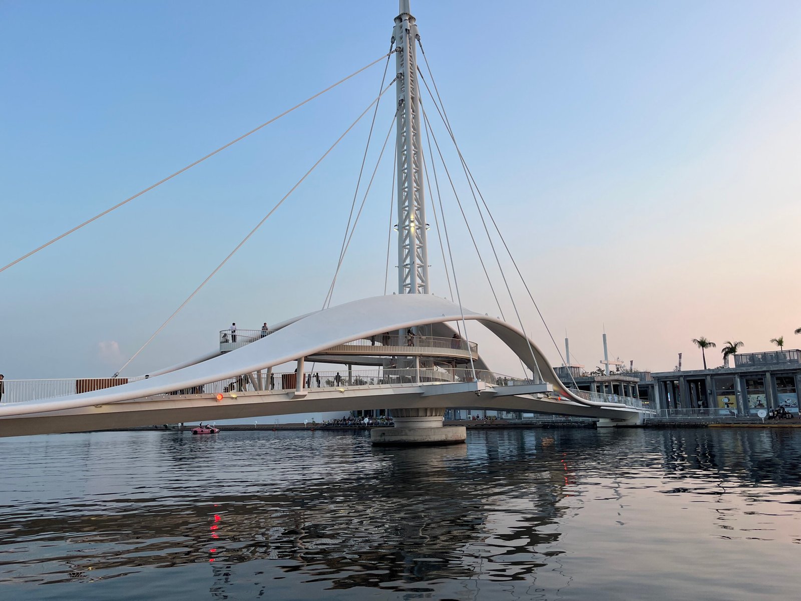 55045036310_d4c81cbbab_o