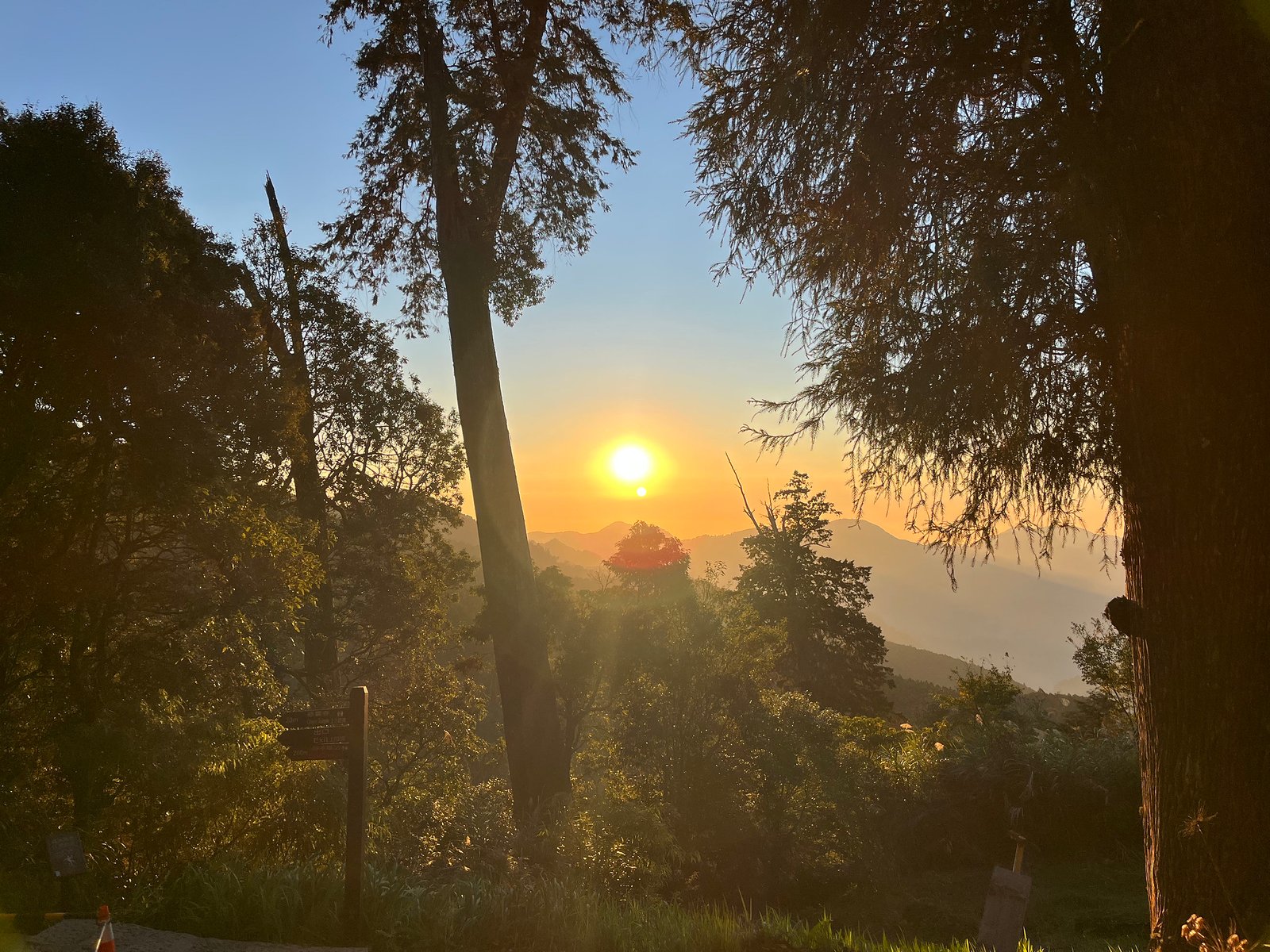 55043730517_8668c7c778_k