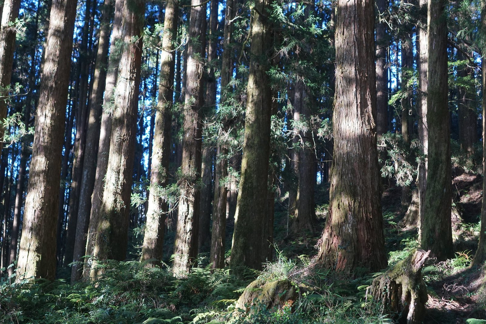 55044025053_db28c37d2a_k