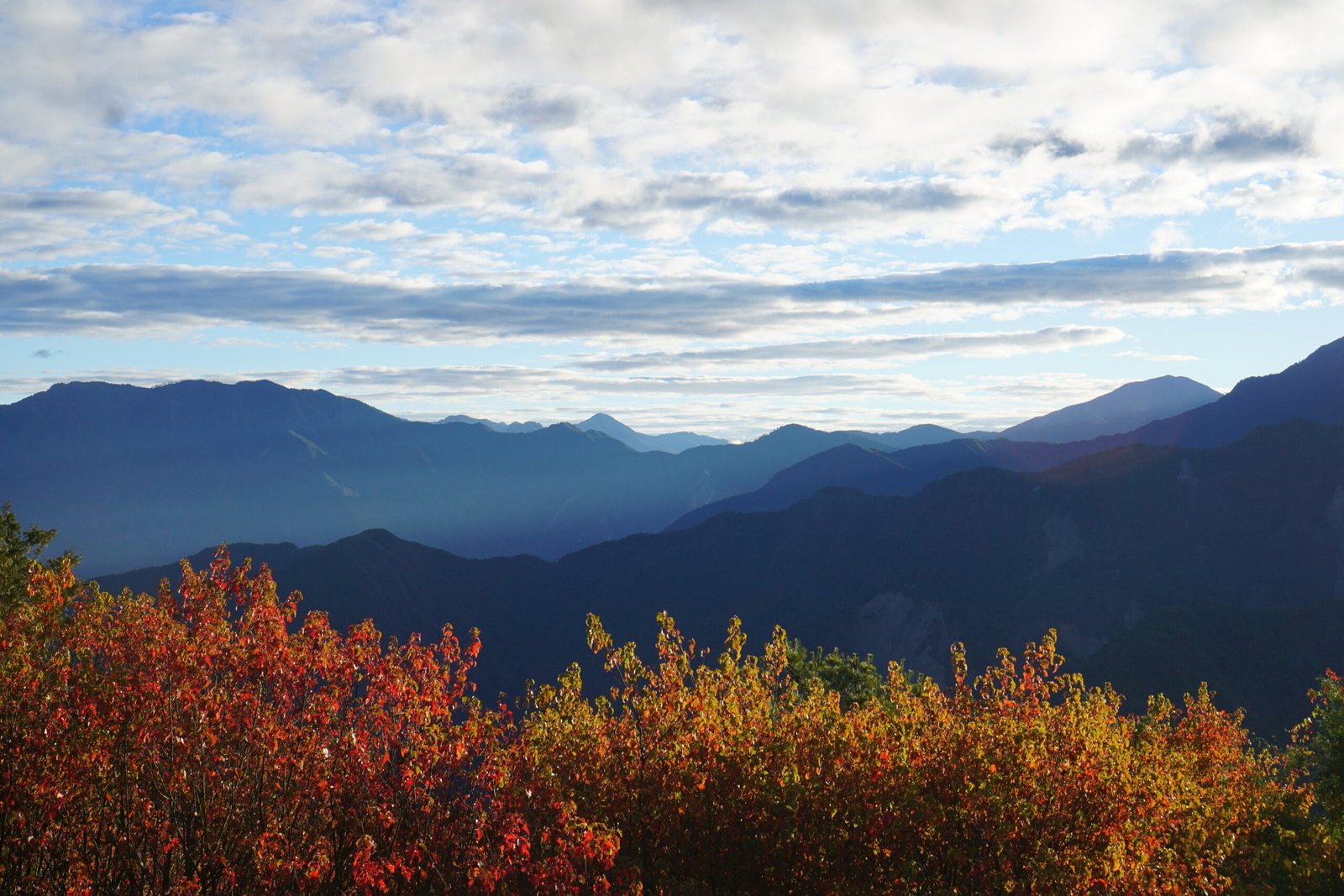 55044044573_253843f7f0_o