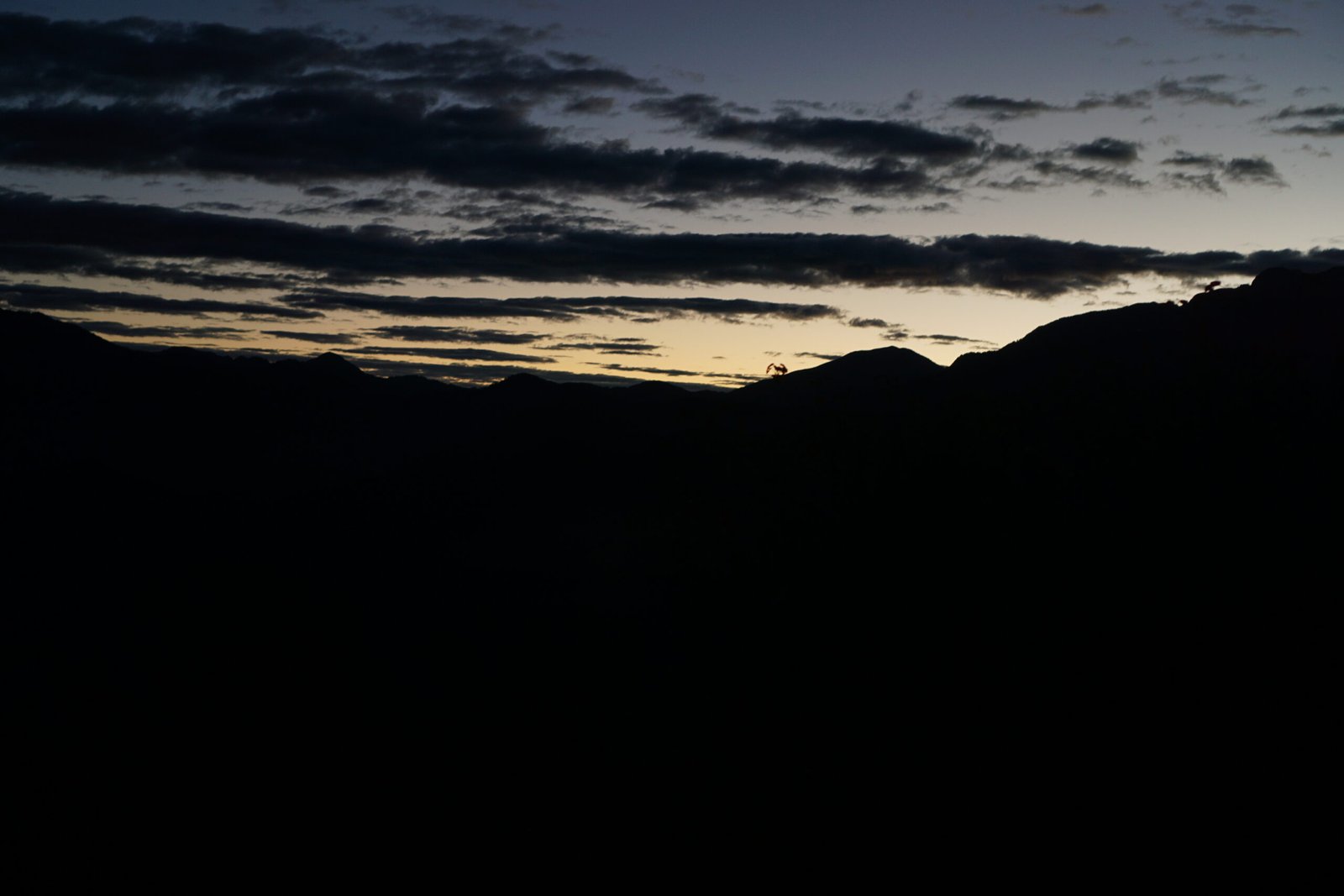 55044117024_85ab8417cf_o