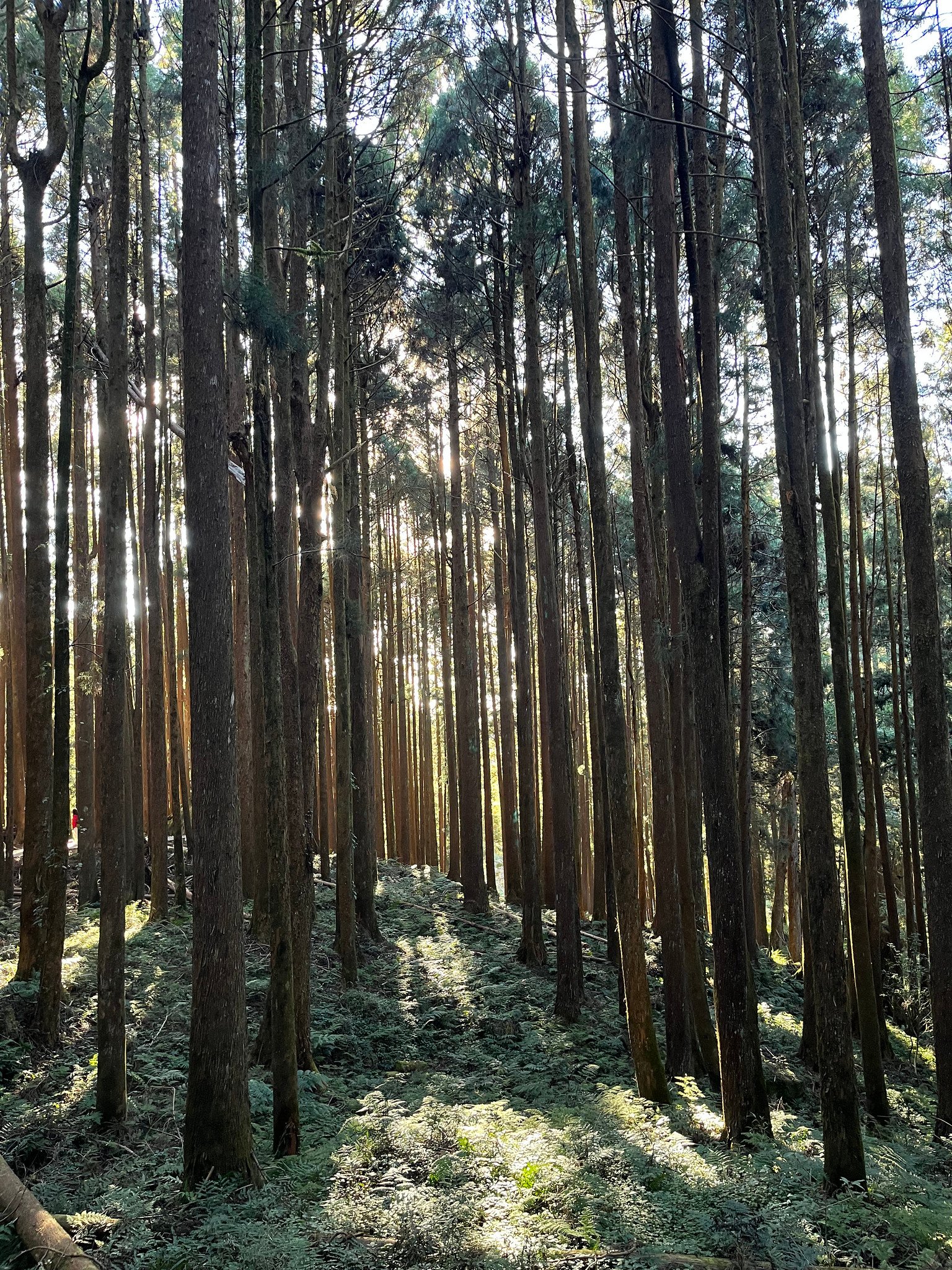 55044796153_7ca84f3b32_k