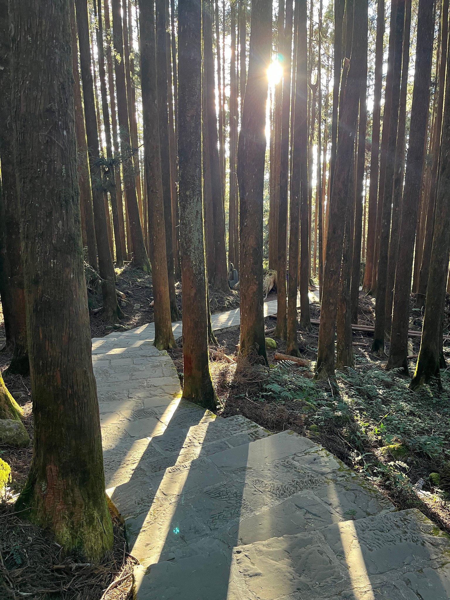 55044879099_6e10c2eccb_k