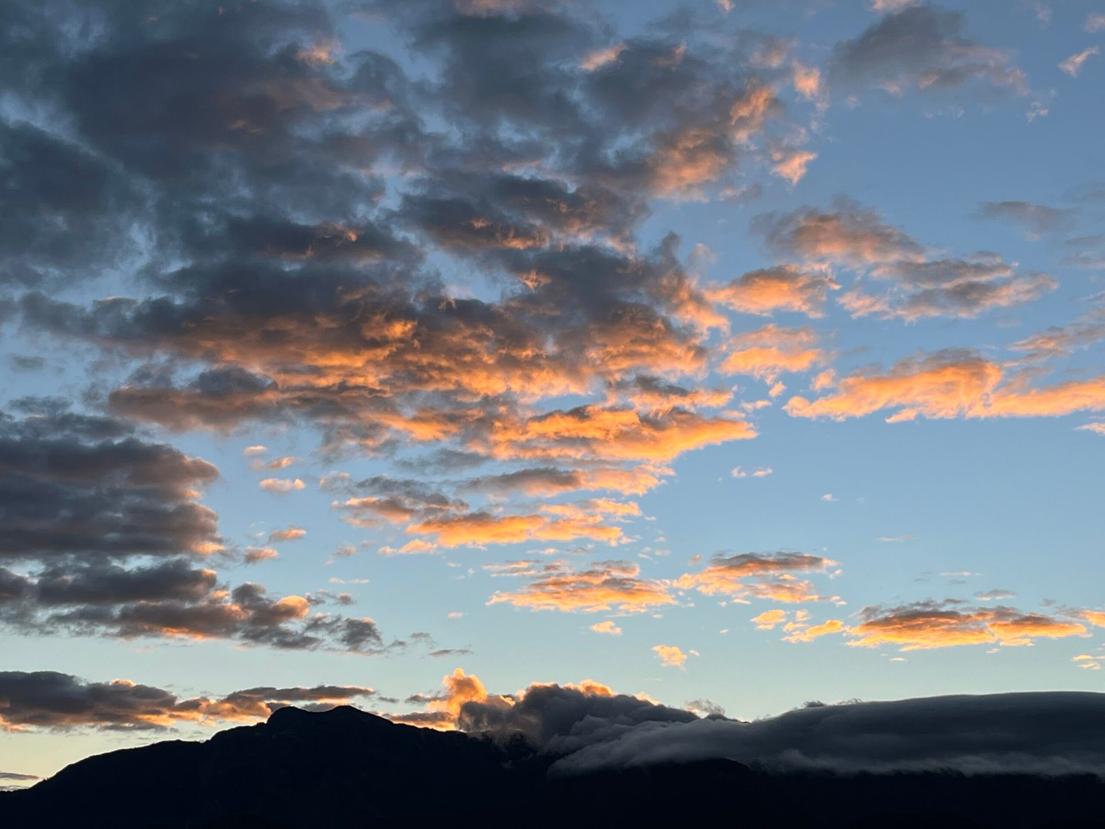 55044883969_bd60083e5f_o