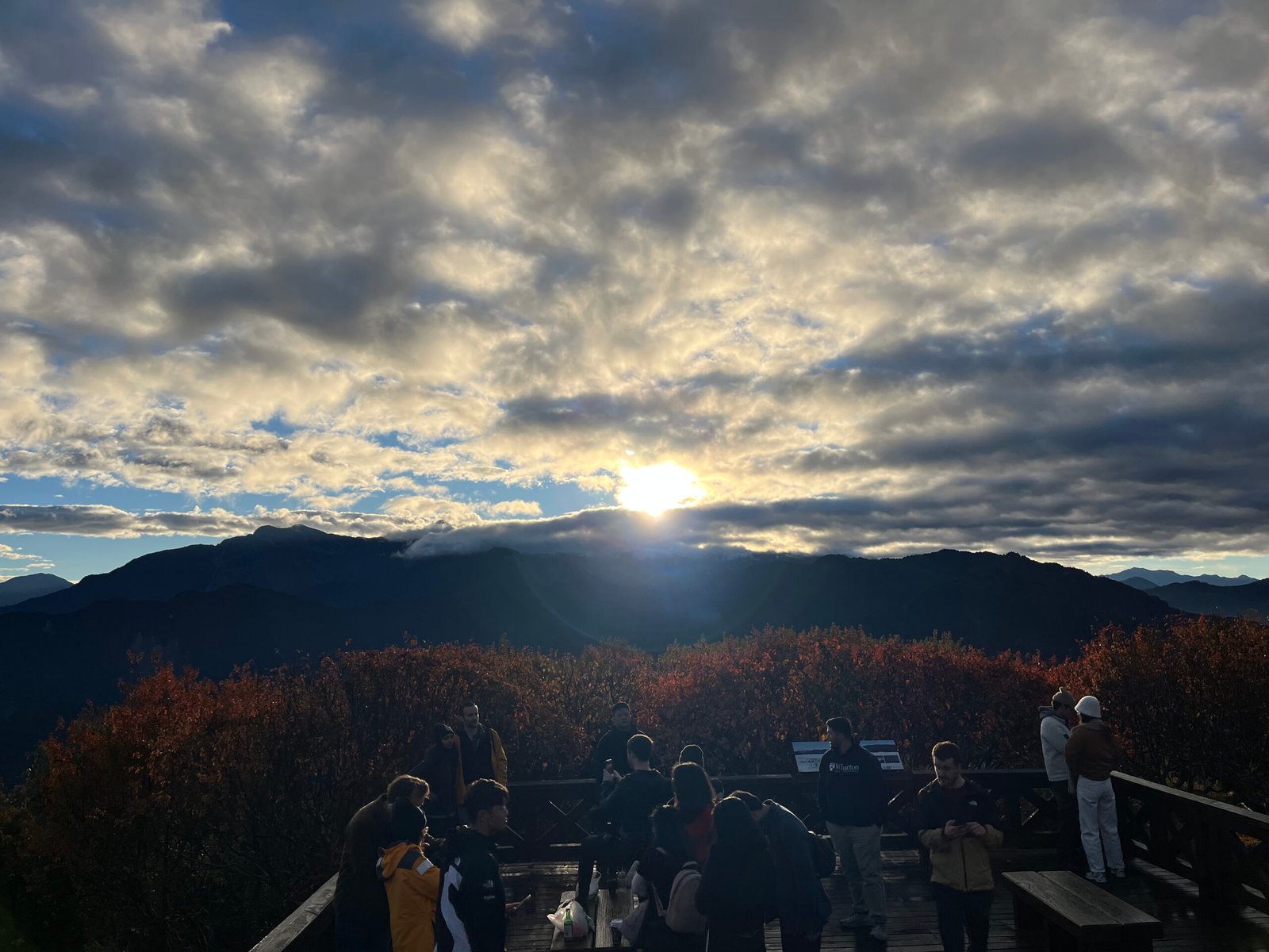 55044886224_7d33236a5c_o