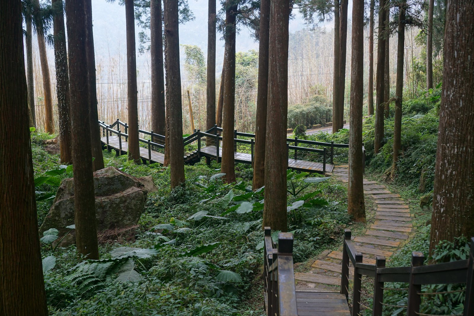 55043913736_143d915126_k