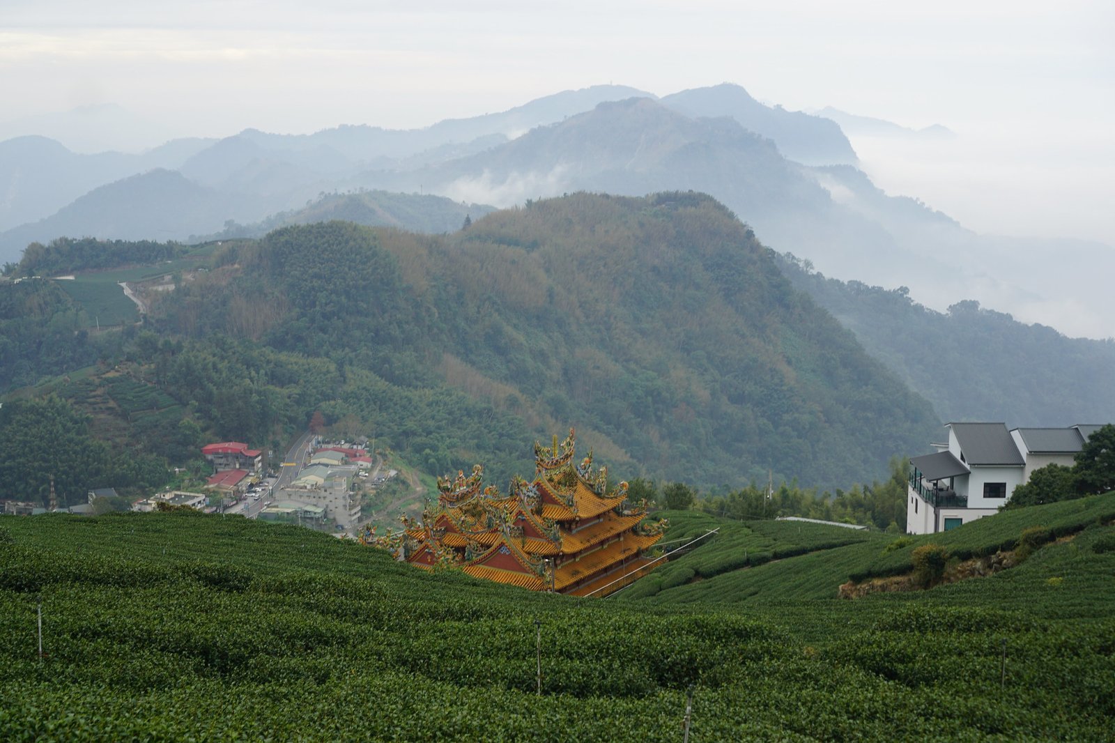 55043919691_0c73653c1a_k