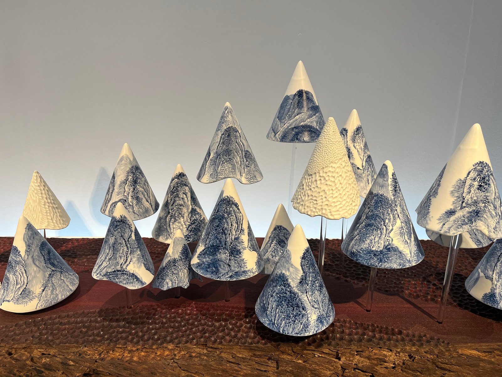 55043924297_5714fbdae2_k