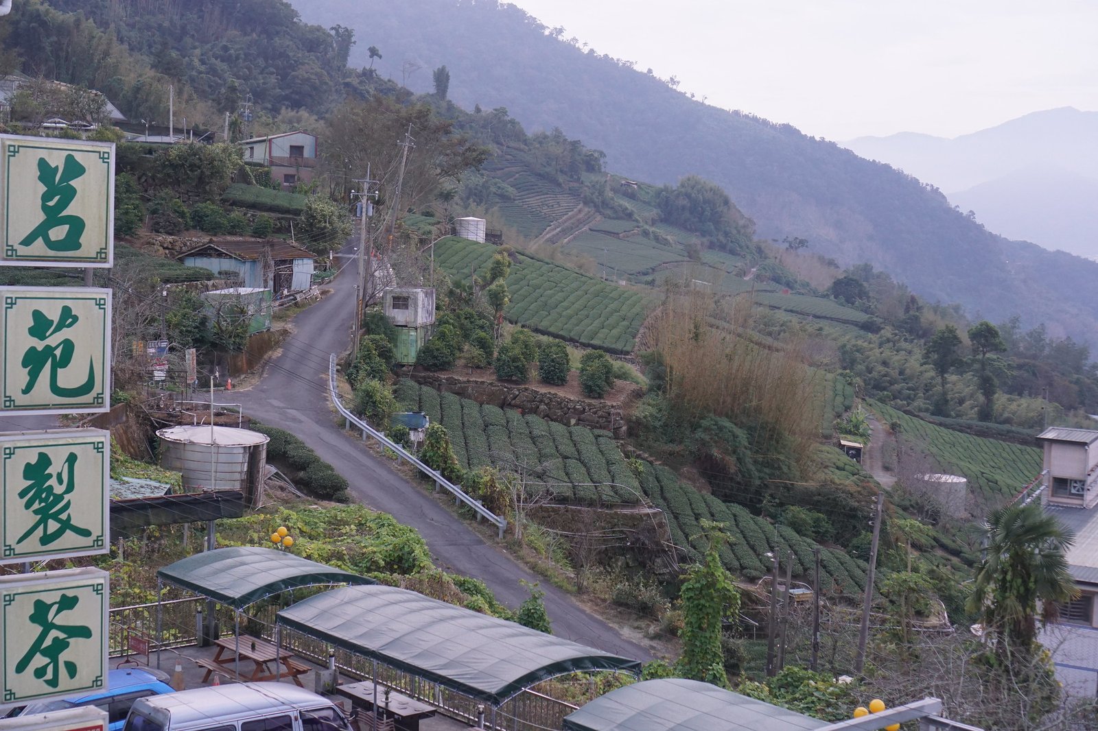 55044065588_44f40695fb_k