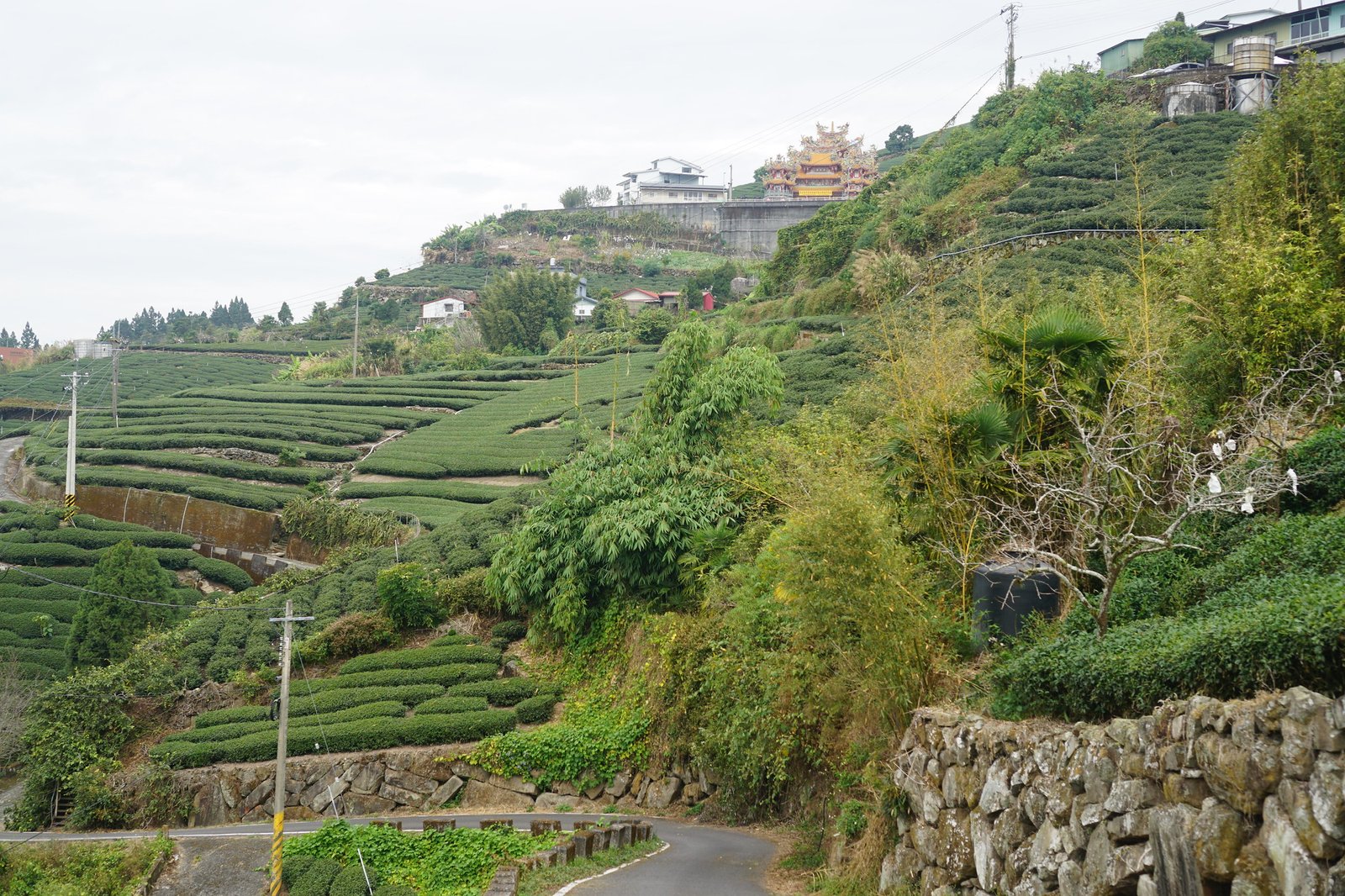 55044152709_188a64ea14_k