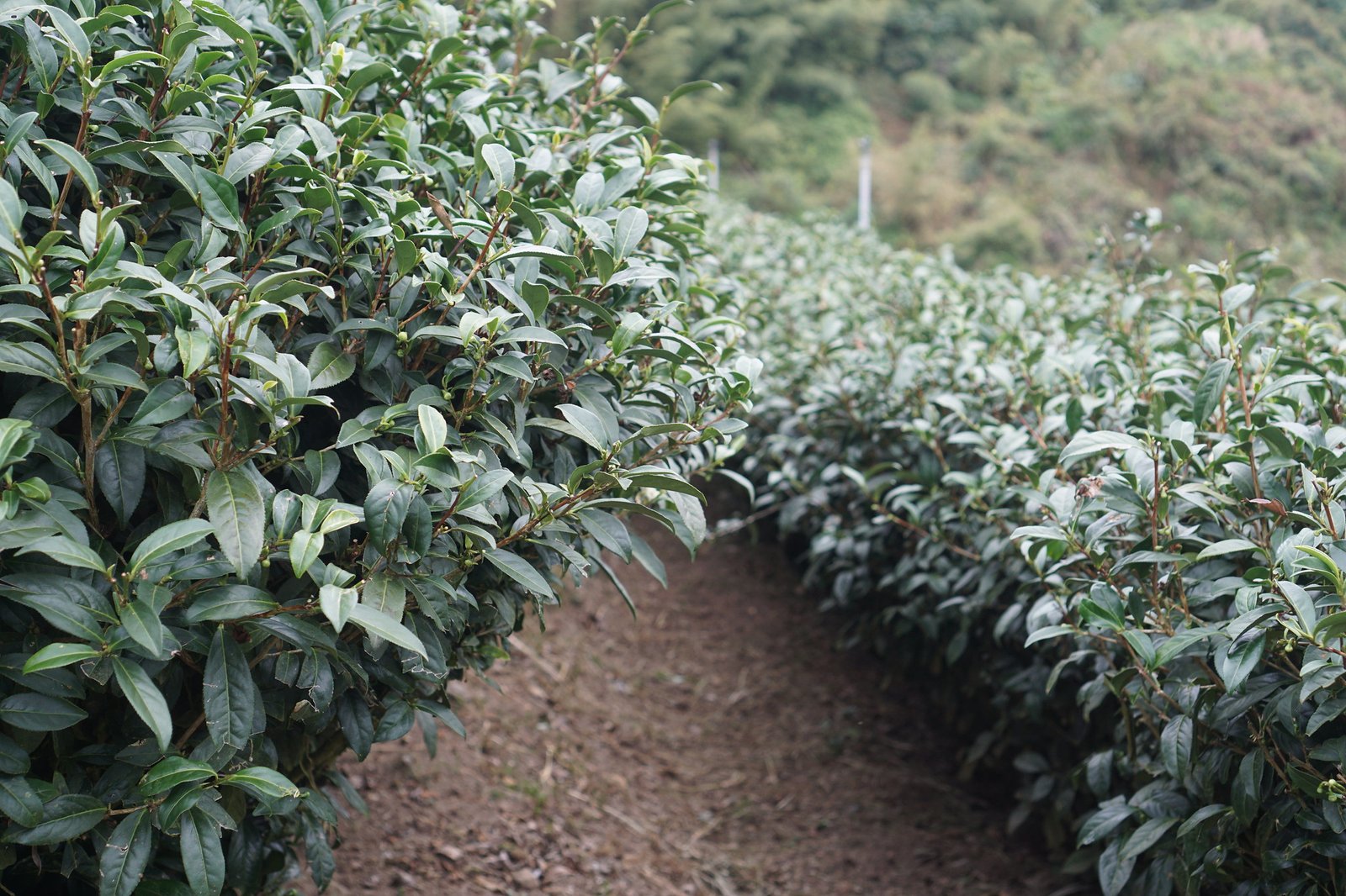 55044154014_0ad43668a4_k