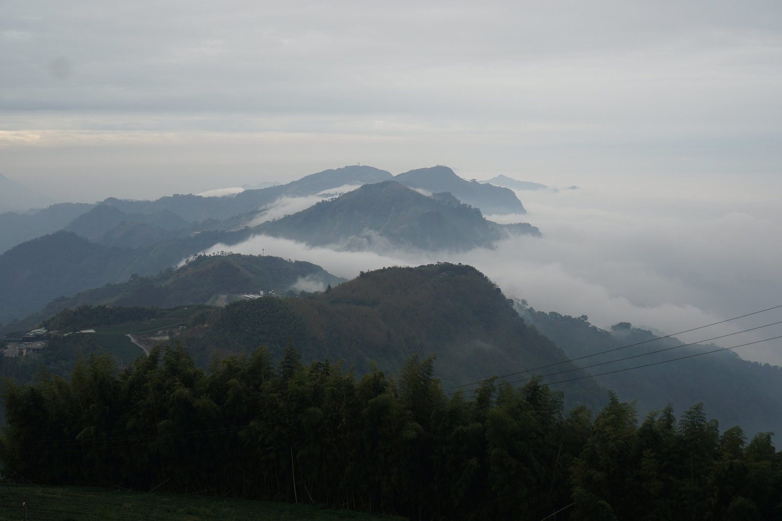 55044180299_f89b3dae65_k