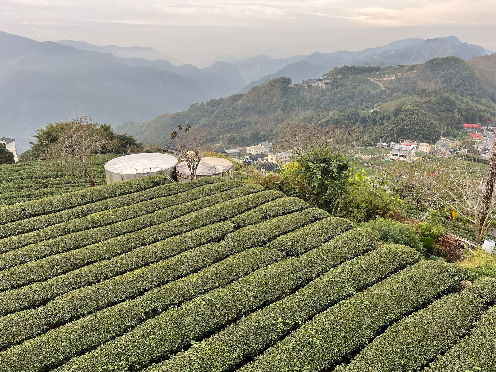 55044633146_96f00a17fd_k