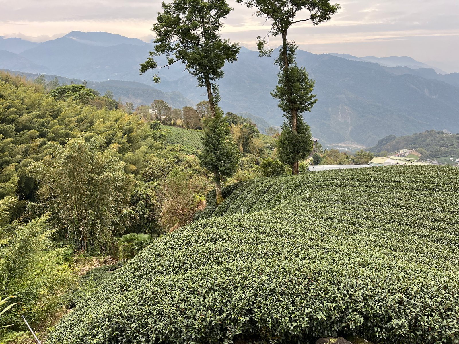 55044633716_f93b5bf75e_k