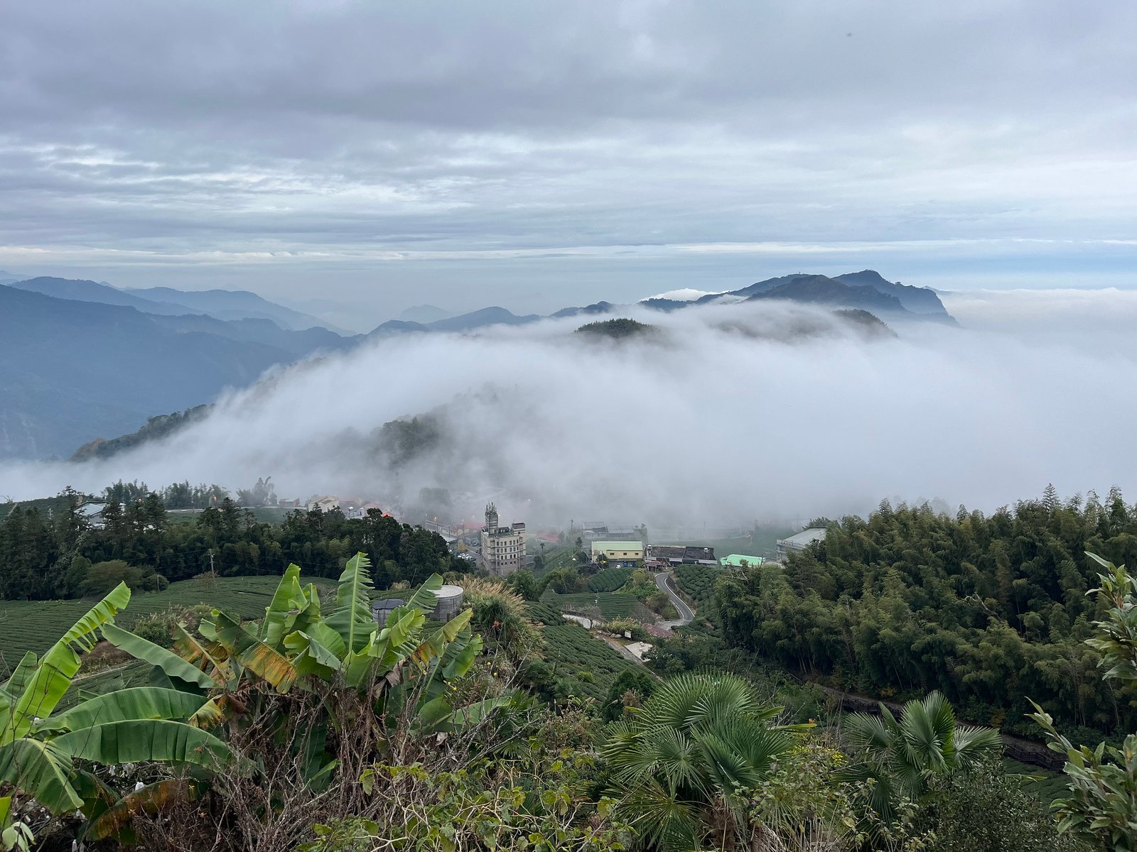 55044903359_67e2923380_k