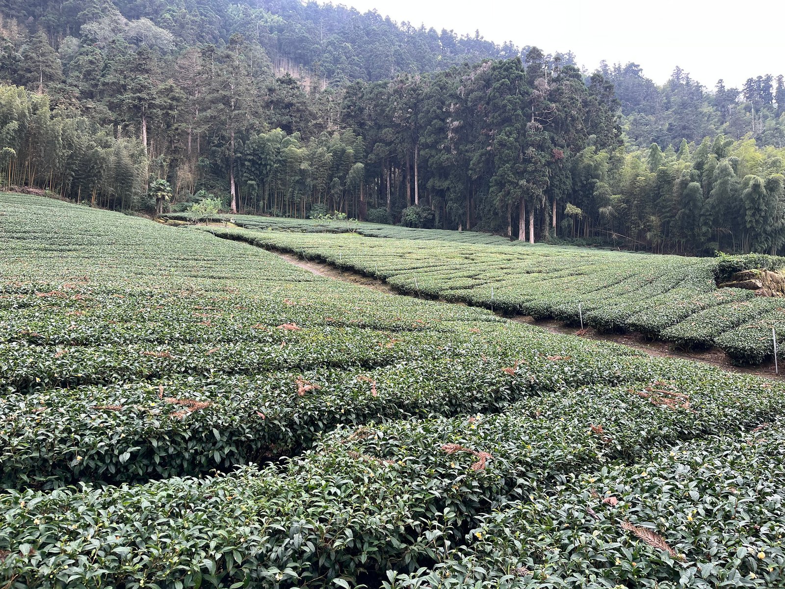 55044914179_701cd4321d_k