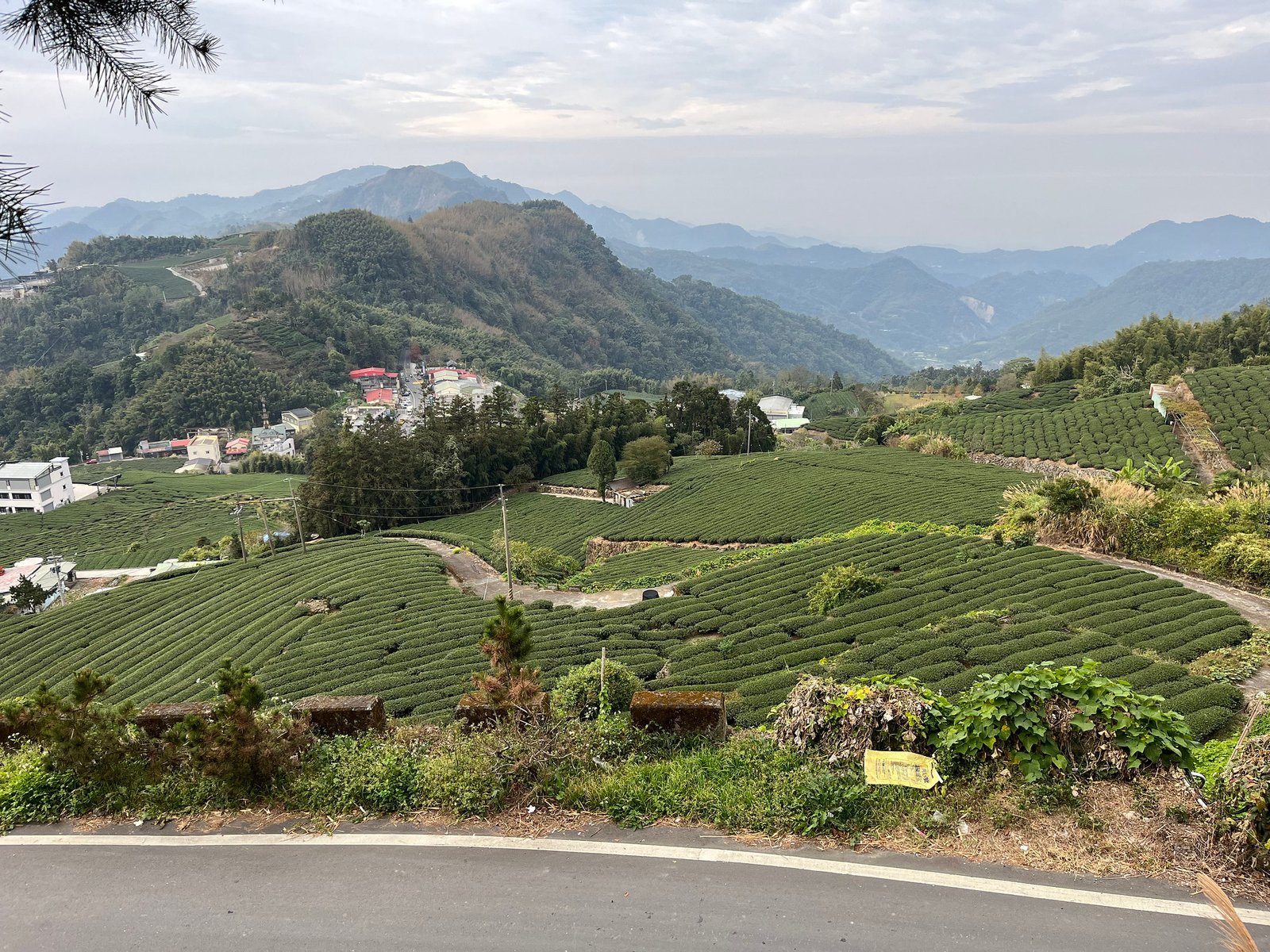 55044953565_bbbc5c76a4_k