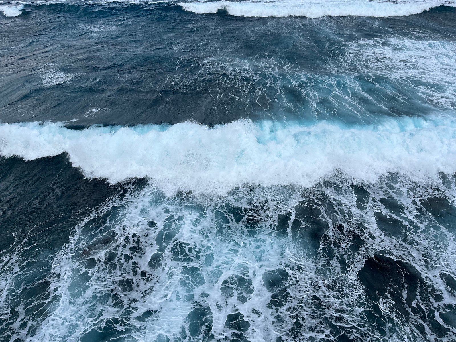 55045097025_255c3ed55c_k